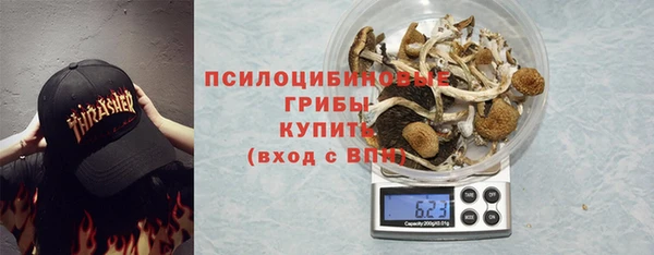 тгк Балахна