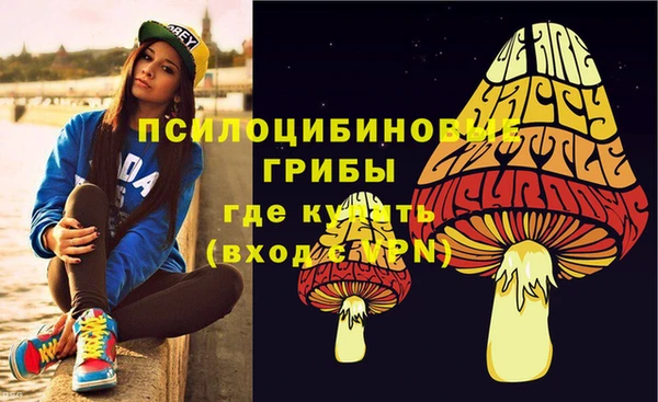 тгк Балахна