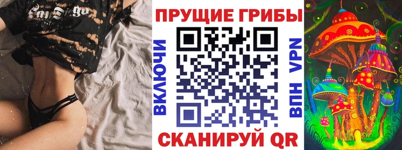 Галлюциногенные грибы Psilocybe  Пересвет 